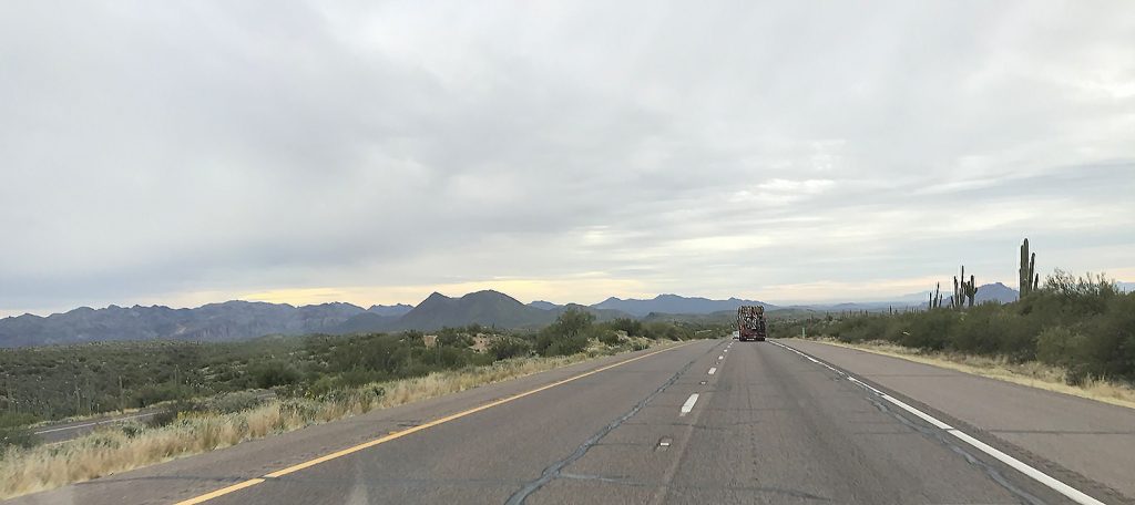 Taking stock: I passed through the Tonto National Forest on the way to Phoenix from Cottonwood, AZ.