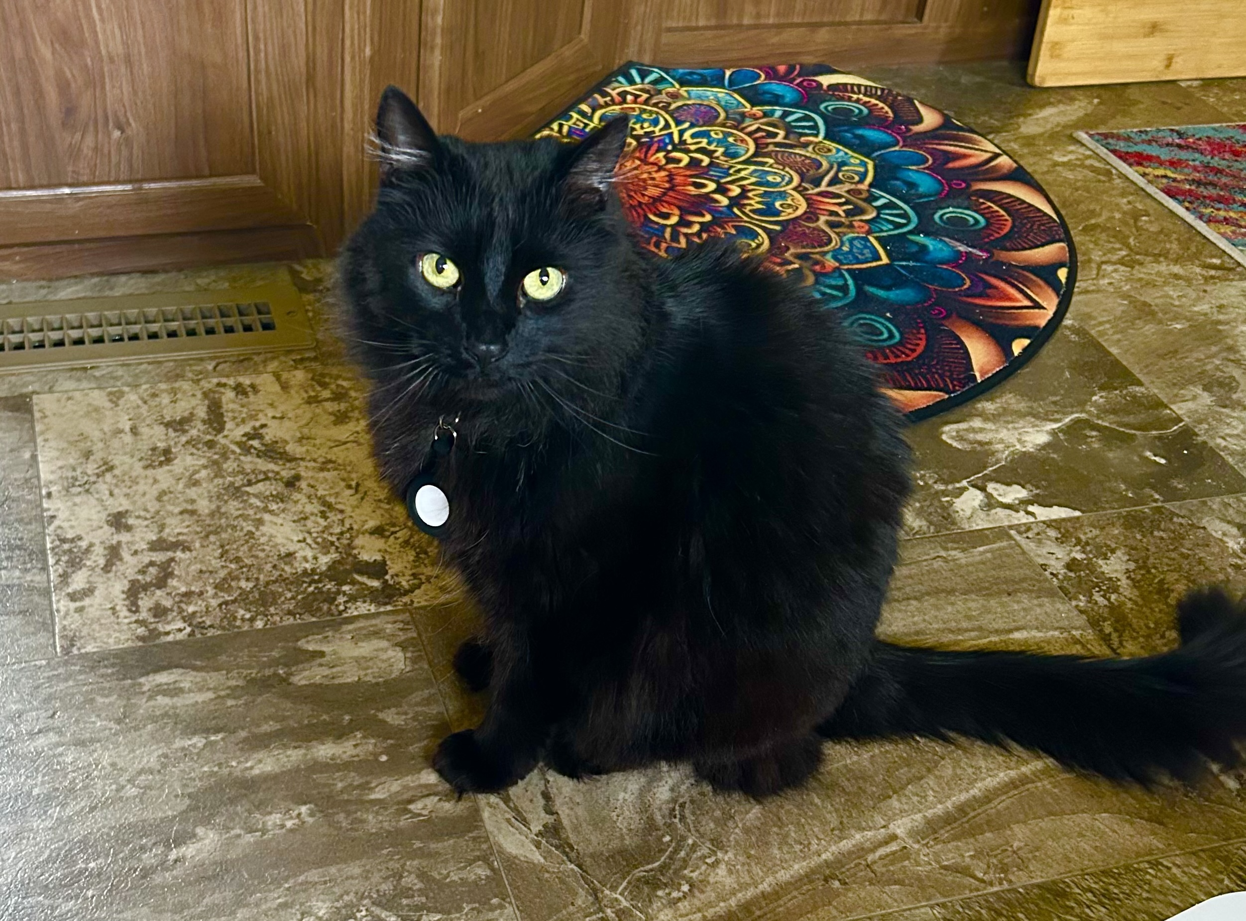 The Binx